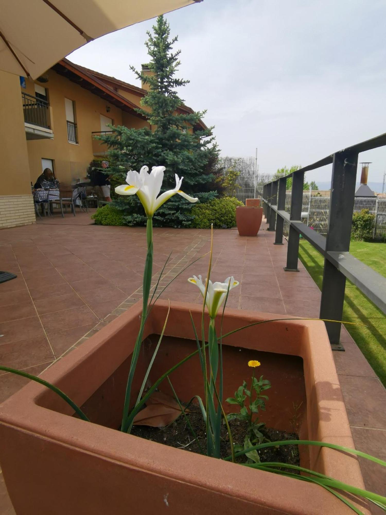 Estancia Con Jardin Entre Golf Y Monte - Cerca Logrono Sojuela Bagian luar foto